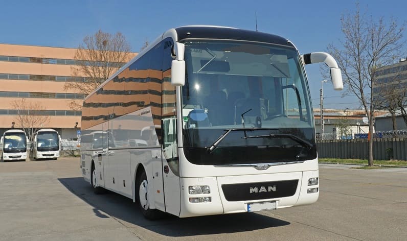 Zürich: Buses operator in Wädenswil in Wädenswil and Switzerland