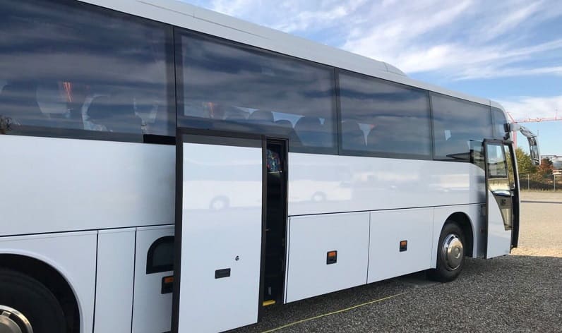 Zug: Buses reservation in Cham in Cham and Switzerland